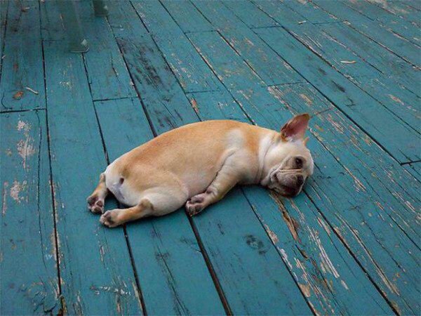 Сквидвард у могилы