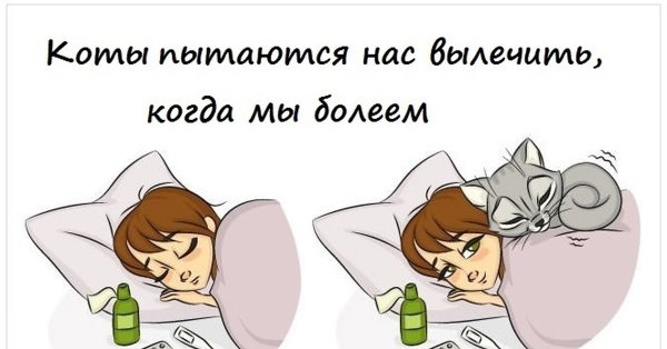 Совет дня с юмором