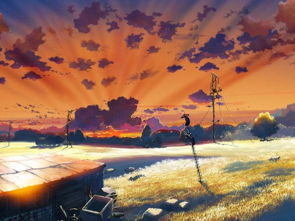 Макото Синкай цветы