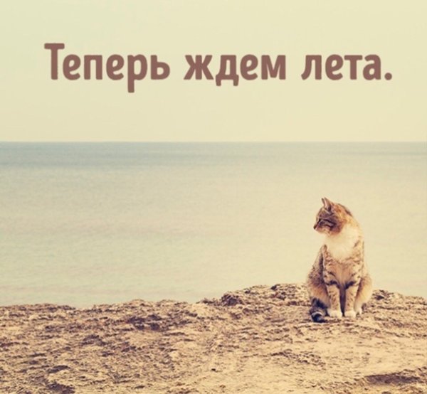 Теперь ждем лето
