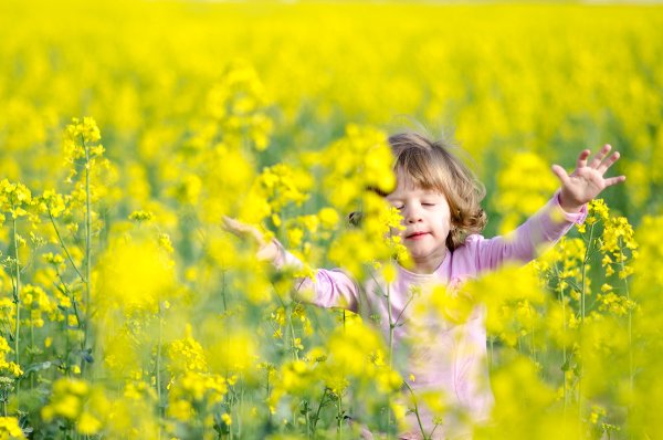 Дети радость солнце