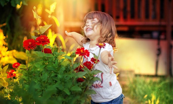 Добро и радость