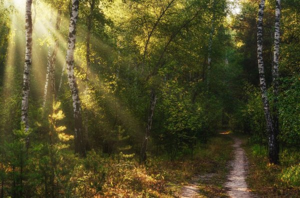 Лесная Поляна Удмуртия