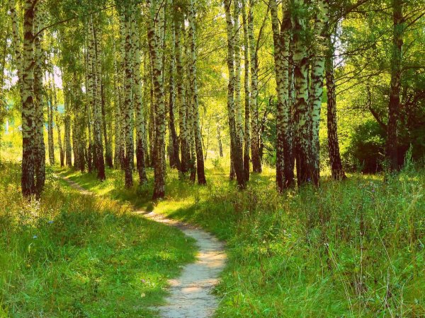 Алаас Якутск