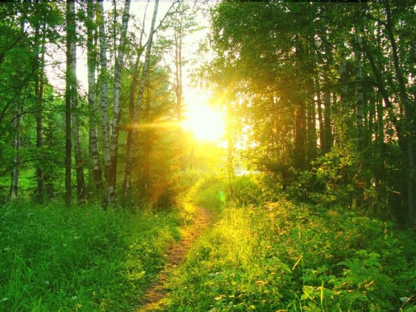 Природа Южного Урала Солнечная Поляна