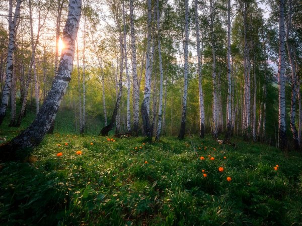 Красота родной земли