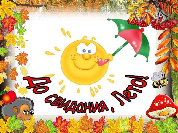 Лето для детей в детском саду