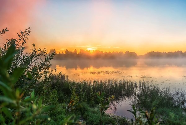 Утренний рассвет