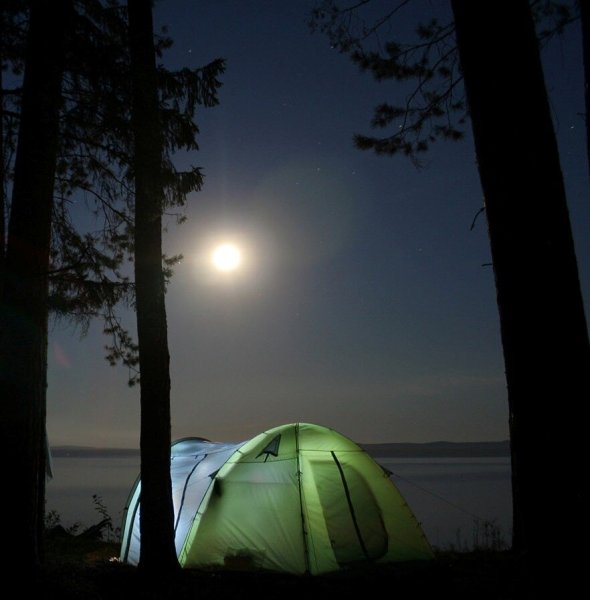 Палатка в лесу