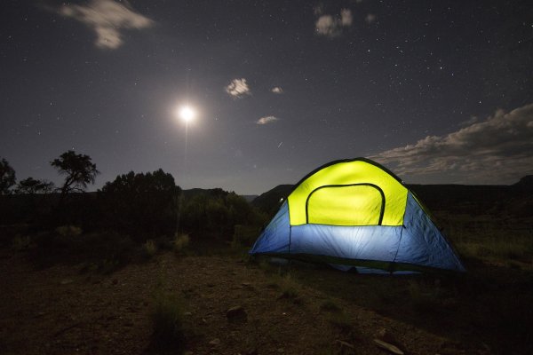 Палатка в лесу