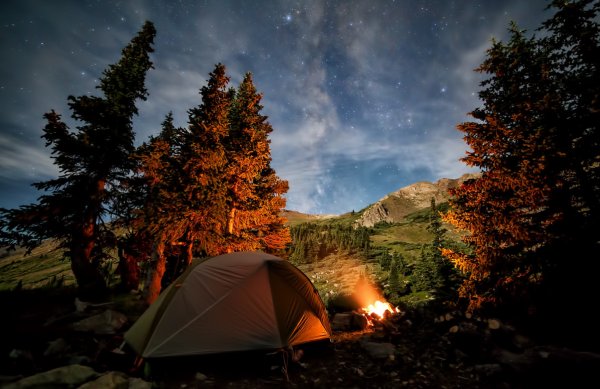 New Camp глэмпинг