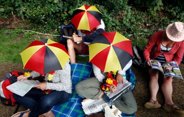 Под книжным зонтиком