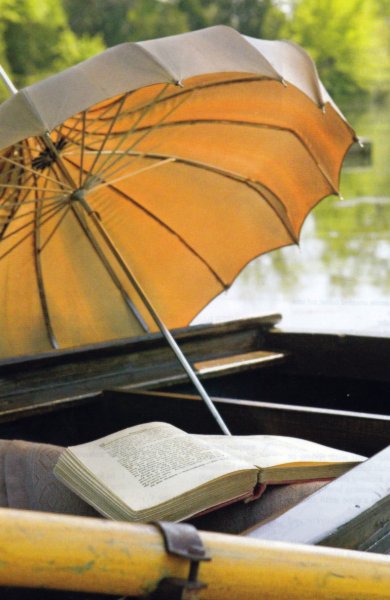 Книжный зонтик