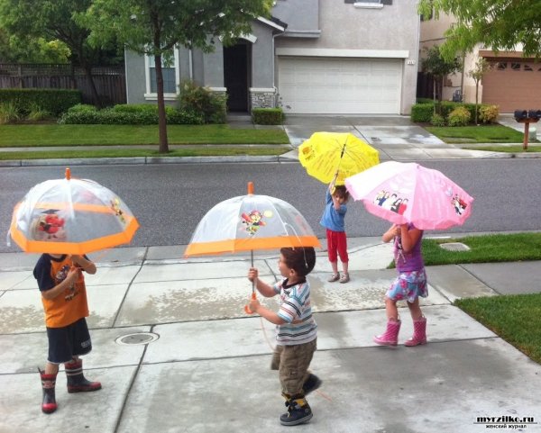 Смешные зонтики