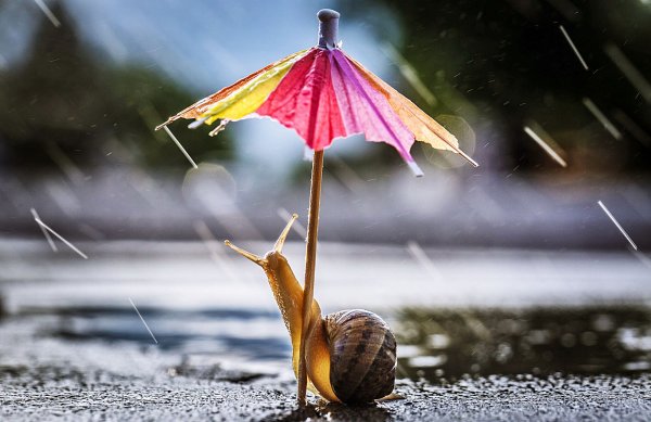 Женщина под зонтиком