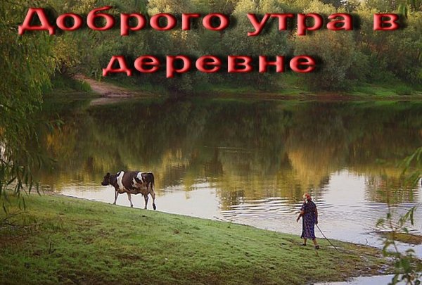 Доброе деревенское утро с надписями
