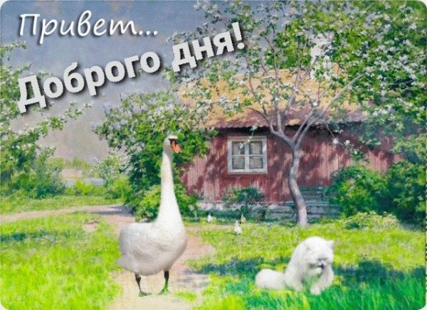 С добрым утром Деревенские пейзажи