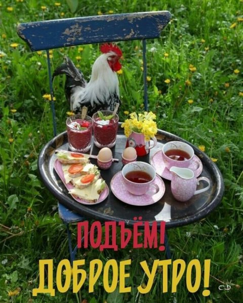 Доброе деревенское утро