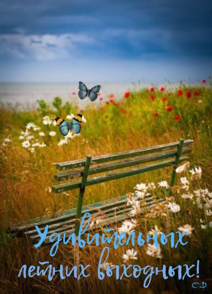 С добрым летним утром