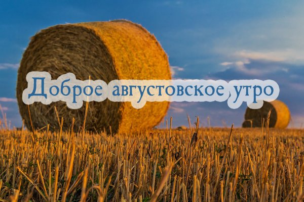 Добро августовское утро