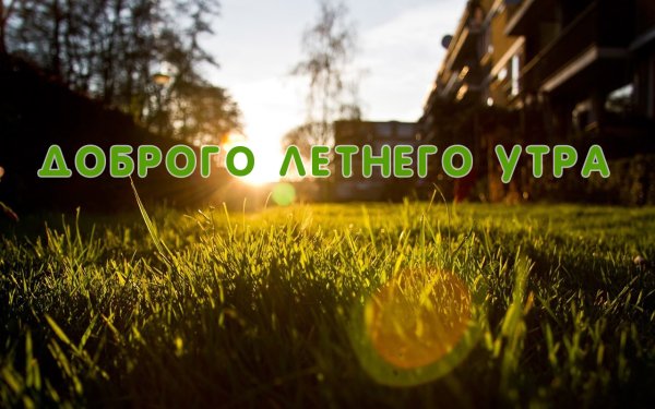 С добрым летним утром