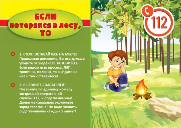 Безопасность в лесу для дошкольников