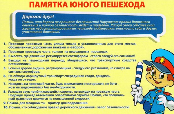 Профилактика дорожно-транспортного травматизма