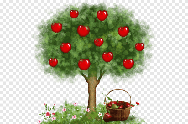 Дерево яблоня с яблоками