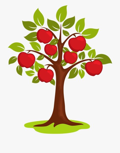 Яблоня рисунок