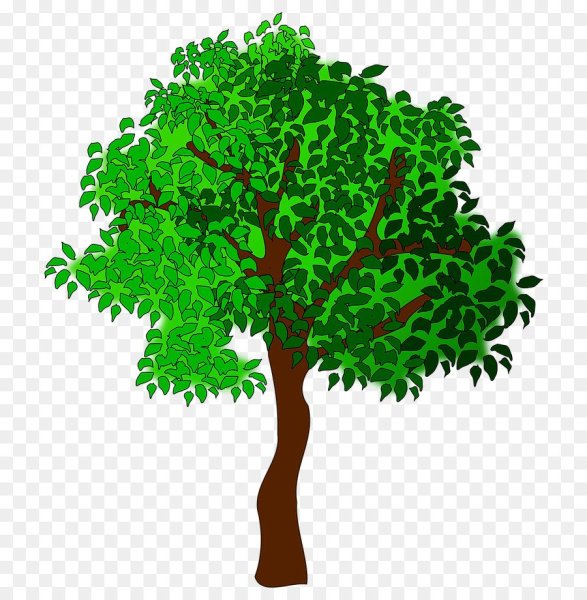 Яблоня дерева с листьями и плодами