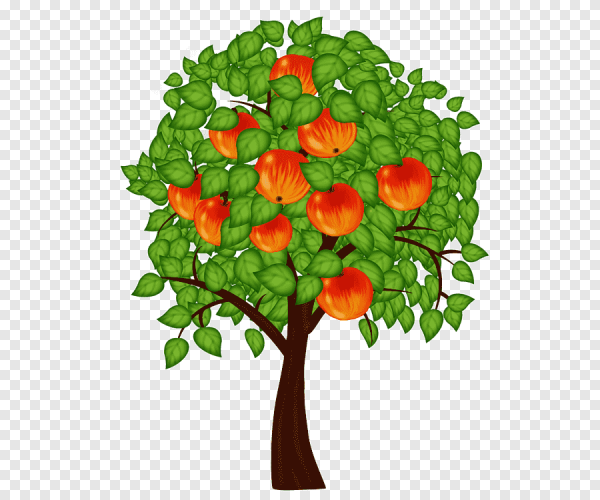 Елена Бархаткова август