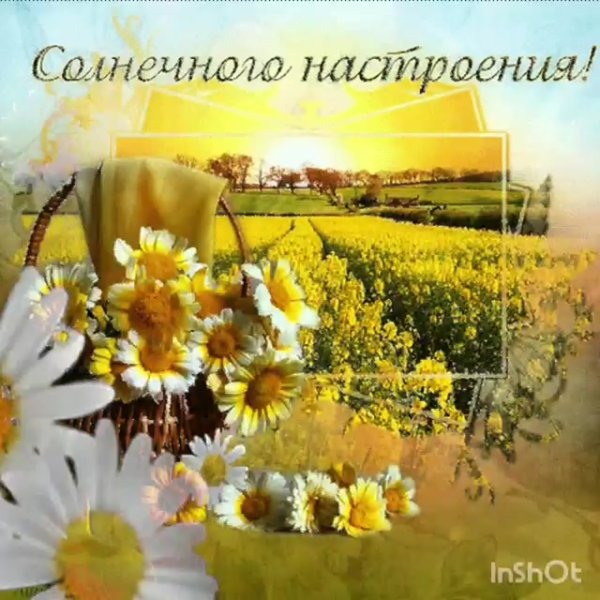 Доброе летнее утро