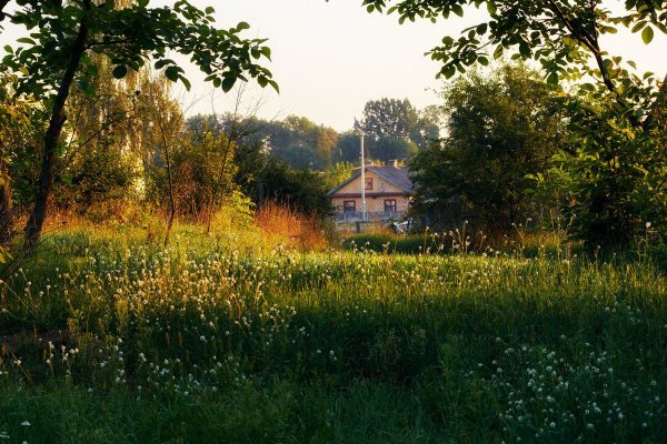 Сенокос деревня природа храм