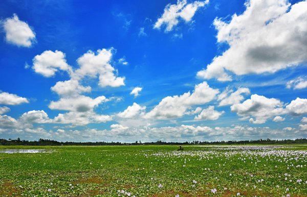 Панорама природа