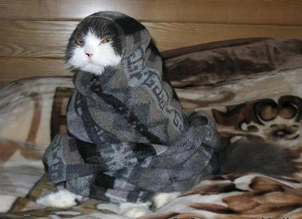 Дача надпись