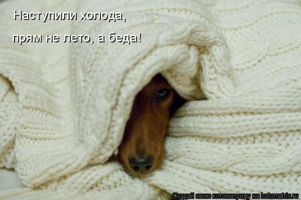 Цитаты про Холодное лето