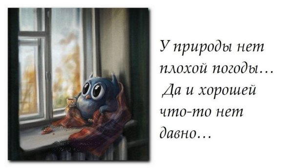 Холодное лето юмор