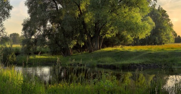 Художественная фотография летний пейзаж