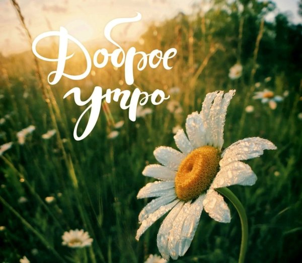 Доброе солнечное утро