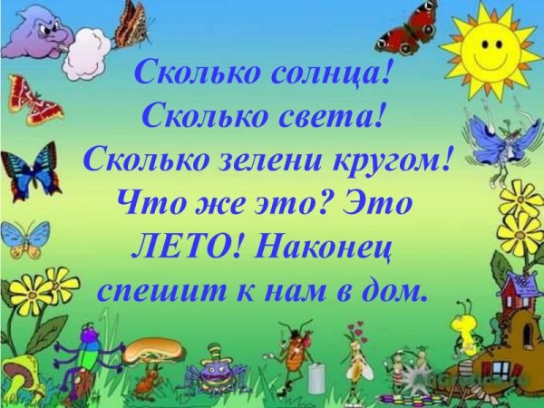 Насекомые для дошкольников