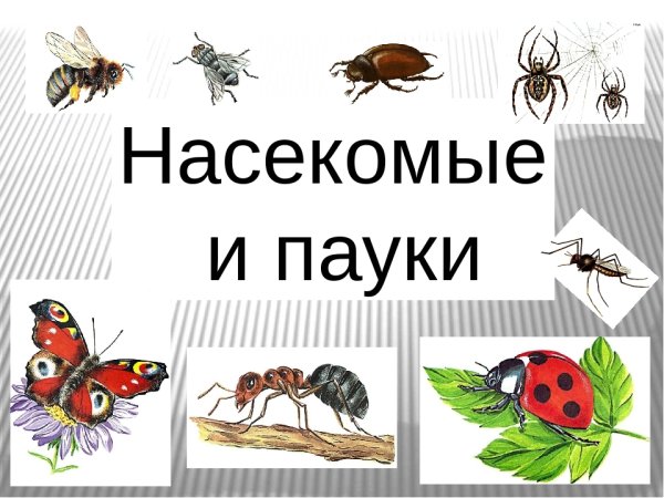 Комариный Рой
