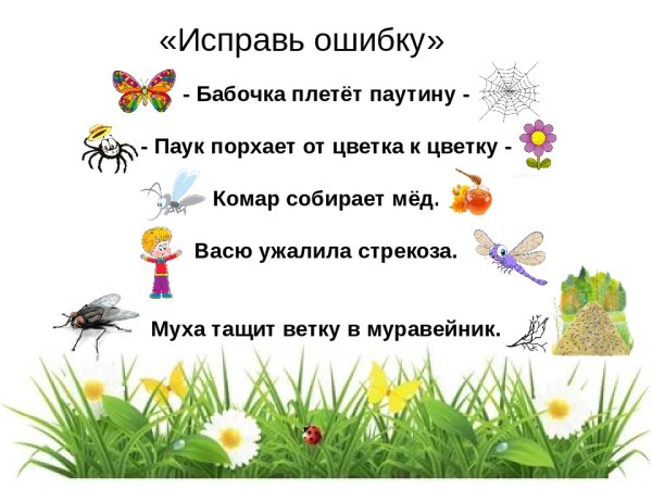 Насекомые для ДОШКОЛЬНИКЛ