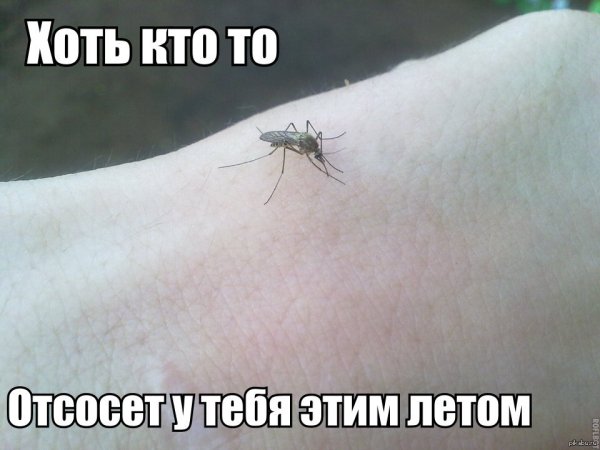 Картинка для малышей насекомые весной с анимацией