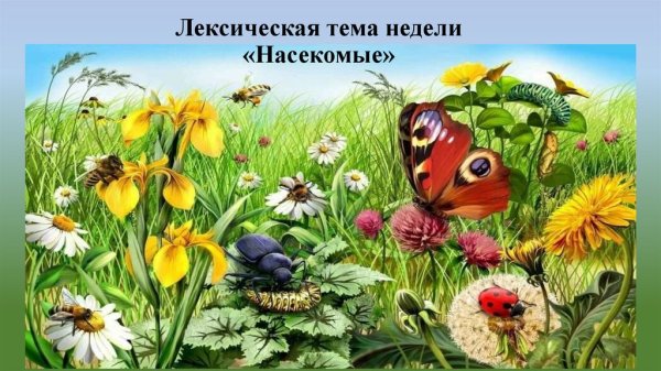 Спасибо за внимание насекомые