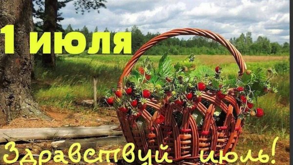 1 Июля макушка лета