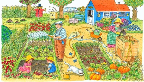 Огород для детей