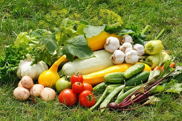 Овощи на грядке