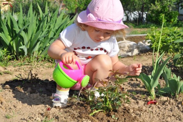 Огород для детей