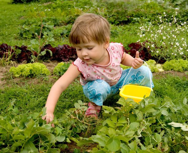 Огород для детей