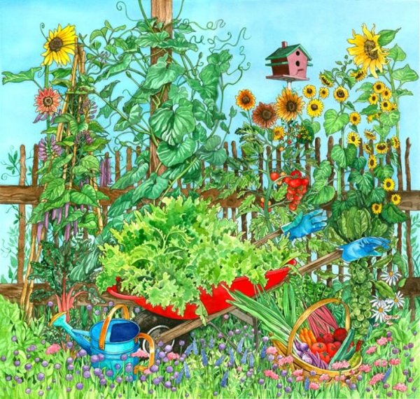 Иллюстрация огорода для детей